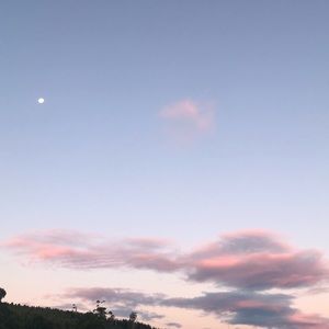 Meet your Posher, Willow